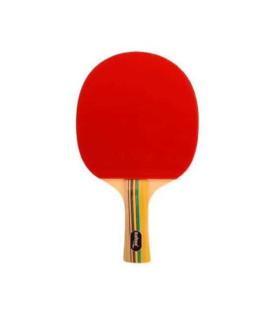 Palas Tenis Mesa Pala Ping Pong P300