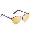 N1 Ocean Milan Matte Brown Revo Gold N1enZapatillas.com
