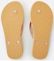 Tienda Sandalias / Chancletas Mujer Rip Curl Script Wave Gold