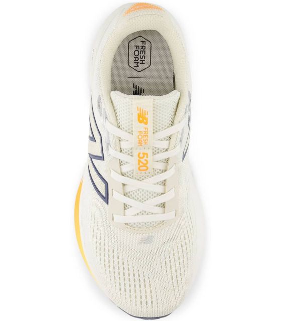 Chaussures Running Femme New Balance Fresh Foam 520 V9 Mujer