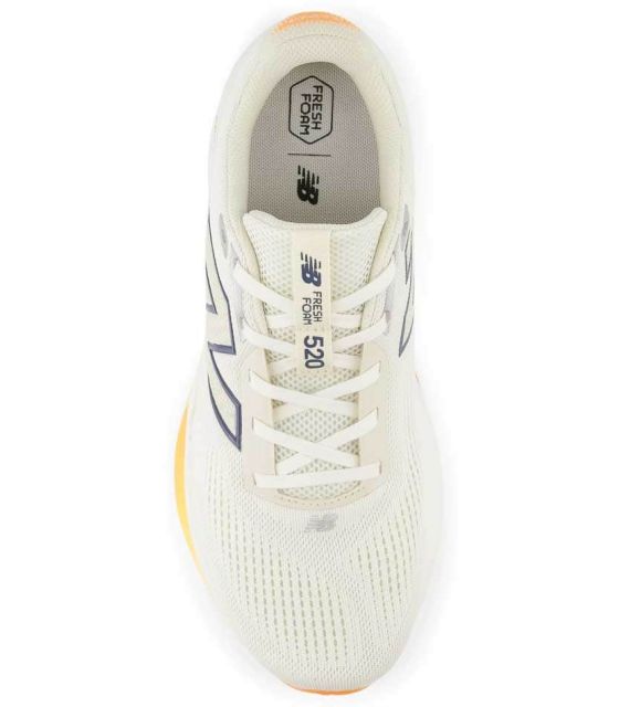 Zapatillas Running Hombre New Balance Fresh Foam 520 V9